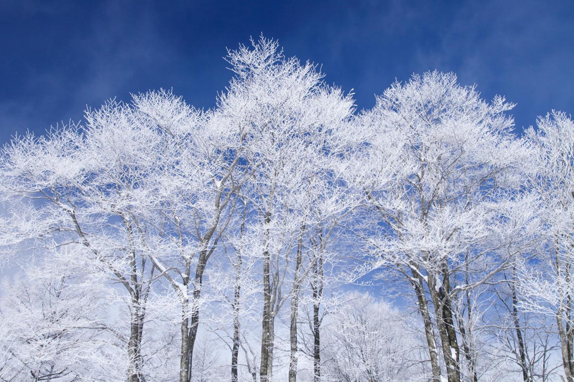 Hakuba Hatago Maruhachi Kültér fotó
