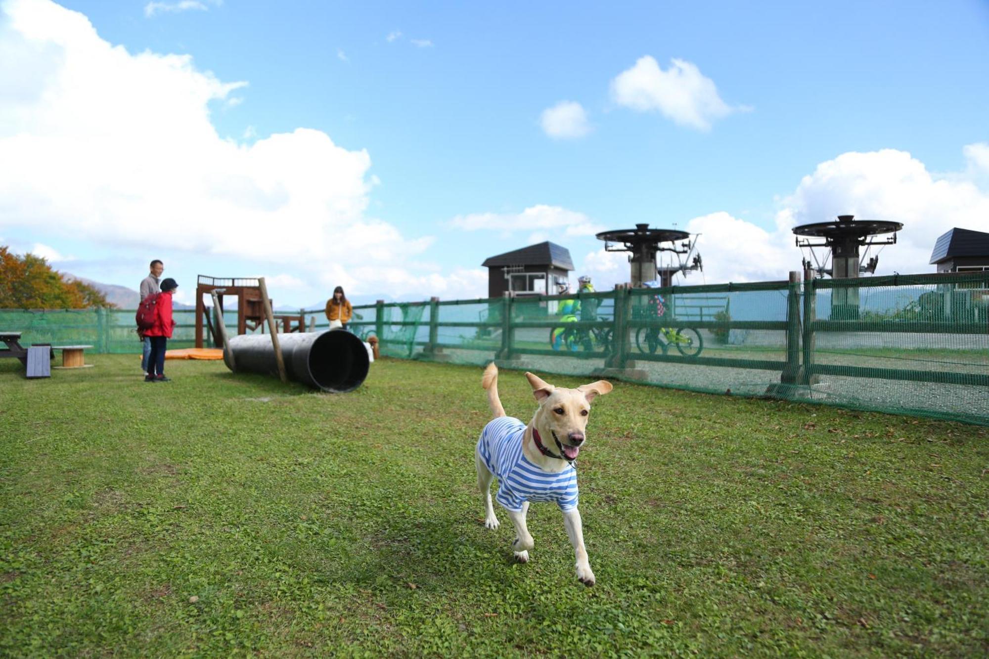 Hakuba Hatago Maruhachi Kültér fotó